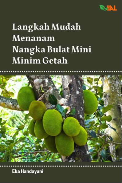 Langkah Mudah Menanam Nangka Bulat Mini Minim Getah